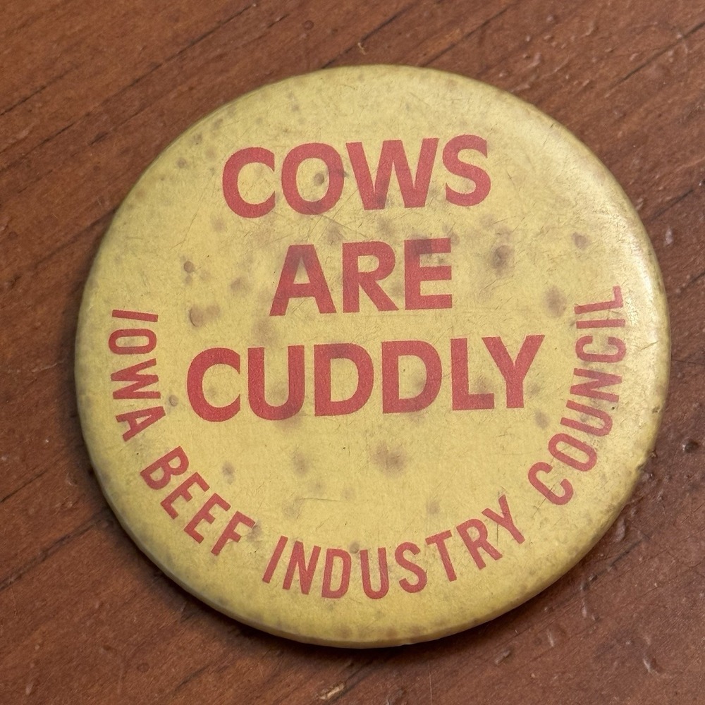 Cows Are‎ Cuddly Iowa Beef Industry Council VTG Pinback Button Pin Round Circle